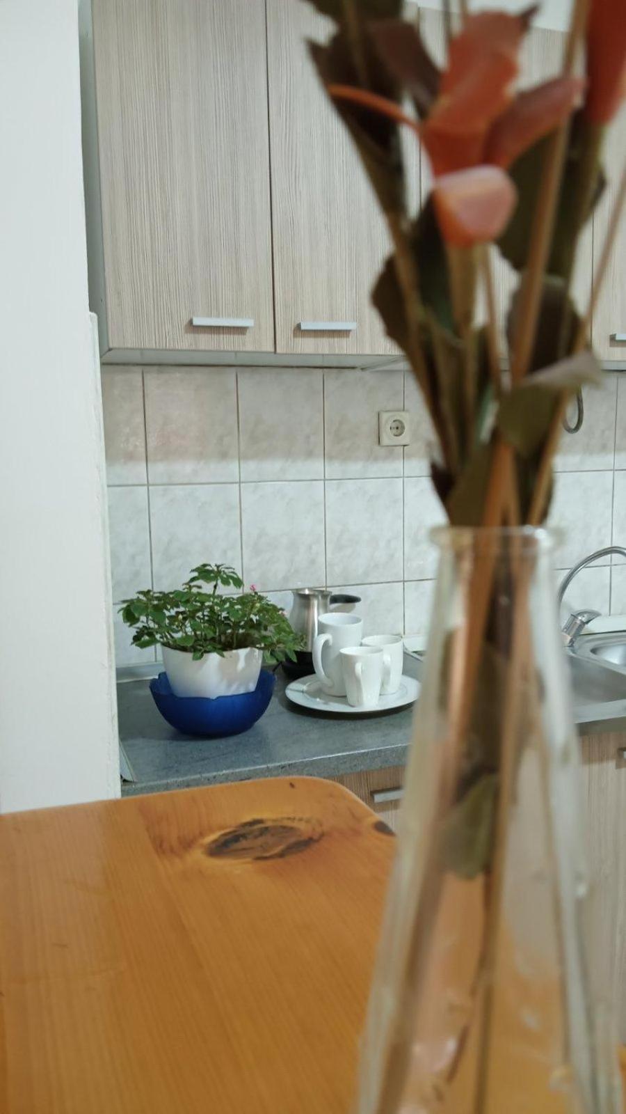 Villa Re3Ca 斯科普里 外观 照片